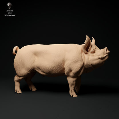 Productfoto Dier Figuur Diorama, Modelbouw: 0: Boerderij Dier Figuren: Eber - Berkshire Varken