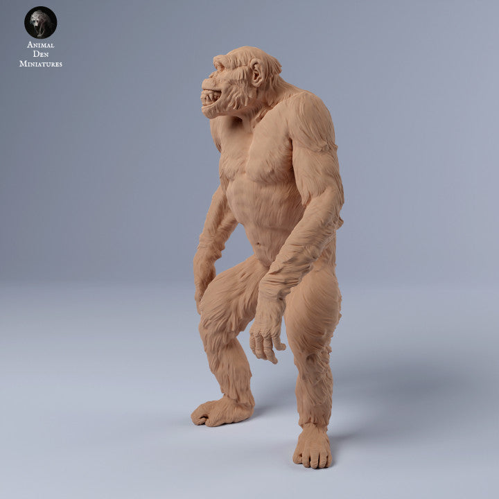 Produktfoto Tier Figur Diorama, Modellbau: 0: Schimpanse grinsend: Tiere aus Afrika
