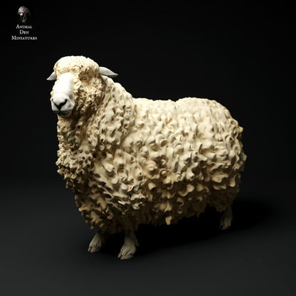Productfoto Dier Figuur Diorama, Modelbouw: 0: Boerderij Dier Figuren: Schaap - staand Schaap 2