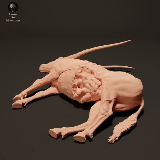 Produktfoto Tier Figur Diorama, Modellbau: 0: Gemsbock Antilope Kadaver: Tiere aus Afrika