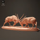 Productfoto Dierfiguur Diorama, Modelbouw: 0: Gemsbok Antilopen vechtend: Dieren uit Afrika
