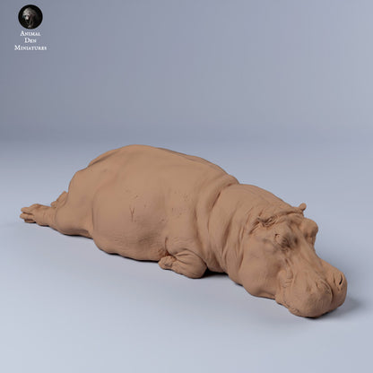 Productfoto Dier Figur Diorama, Modelbouw: 0: Nijlpaard slapend: Dieren uit Afrika