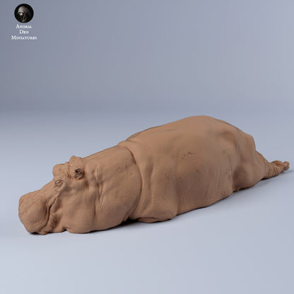 Productfoto Dier Figur Diorama, Modelbouw: 0: Nijlpaard slapend: Dieren uit Afrika