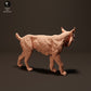 Productfoto Dierfiguur Diorama, Modelbouw: 0: Iberische Lynx: Dieren uit Europa