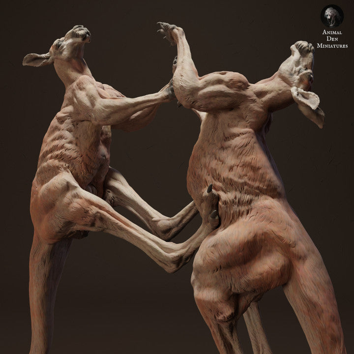 Productfoto dierenfiguur Animal Den Miniatures 0: Wilde dierenfiguur: Rode reuzenkangoeroes in gevecht (23_04_10)
