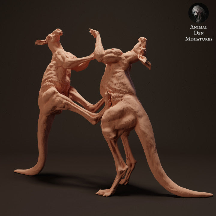Productfoto dierenfiguur Animal Den Miniatures 2: wilde dierenfiguur: rode reuzenkangoeroes in gevecht (23_04_10)