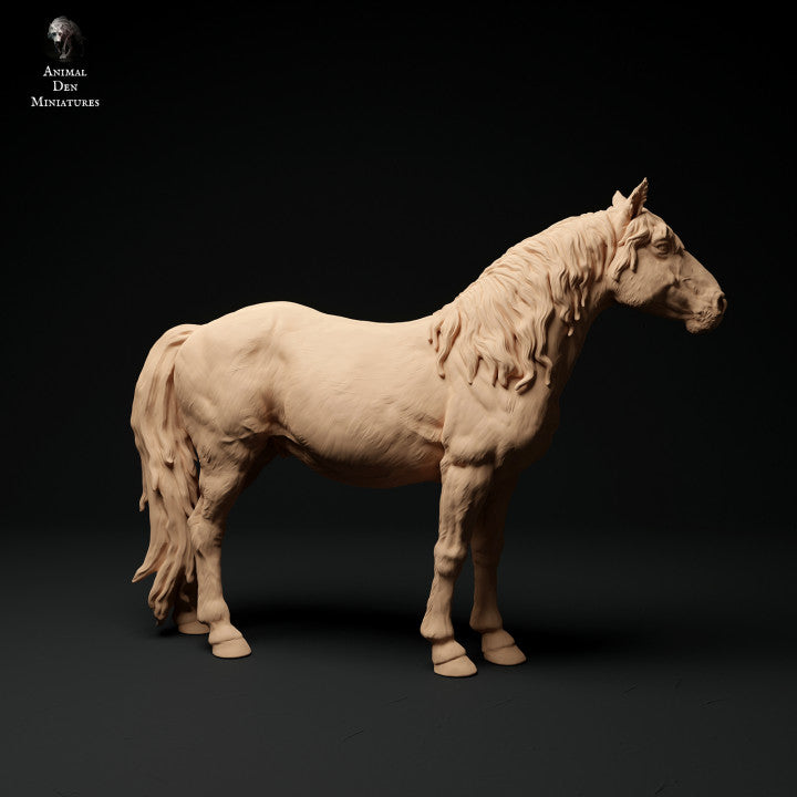 Produktfoto Tier Figur Diorama, Modellbau: 0: Konik/ Kleines Wildpferd: Tiere aus Europa