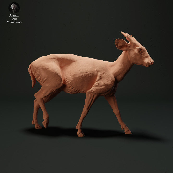 Produktfoto Tierfigur Animal Den Miniatures 1: Wildtier Tierfigur: Muntjakhirsch (23_05_04)