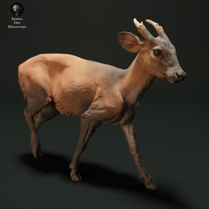 Produktfoto Tierfigur Animal Den Miniatures 2: Wildtier Tierfigur: Muntjakhirsch (23_05_04)