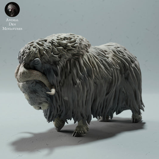 Productfoto dierenfiguur Animal Den Miniatures 0: wild dierfiguur: muskusos (22_12_14)
