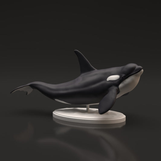 Productfoto dierenfiguur Animal Den Miniatures 0: zeedier dierenfiguur: orka (22_06_06)