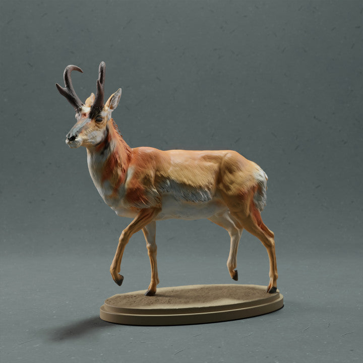 Productfoto dierenfiguur Animal Den Miniatures 0: wild dierfiguur: gaffelbok - mannetje (22_10_09)