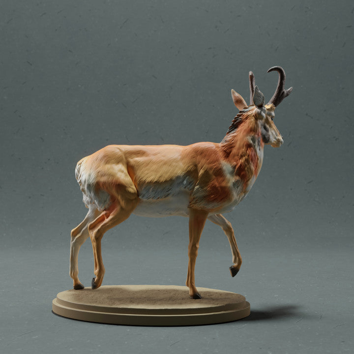 Productfoto dierenfiguur Animal Den Miniatures 2: Wild dierfiguur: gaffelbok - mannetje (22_10_09)