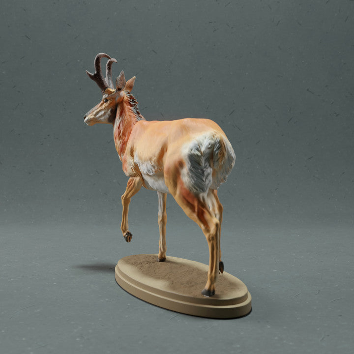 Productfoto dierenfiguur Animal Den Miniatures 3: Wilddierfiguur: Gaffelbok - mannetje (22_10_09)