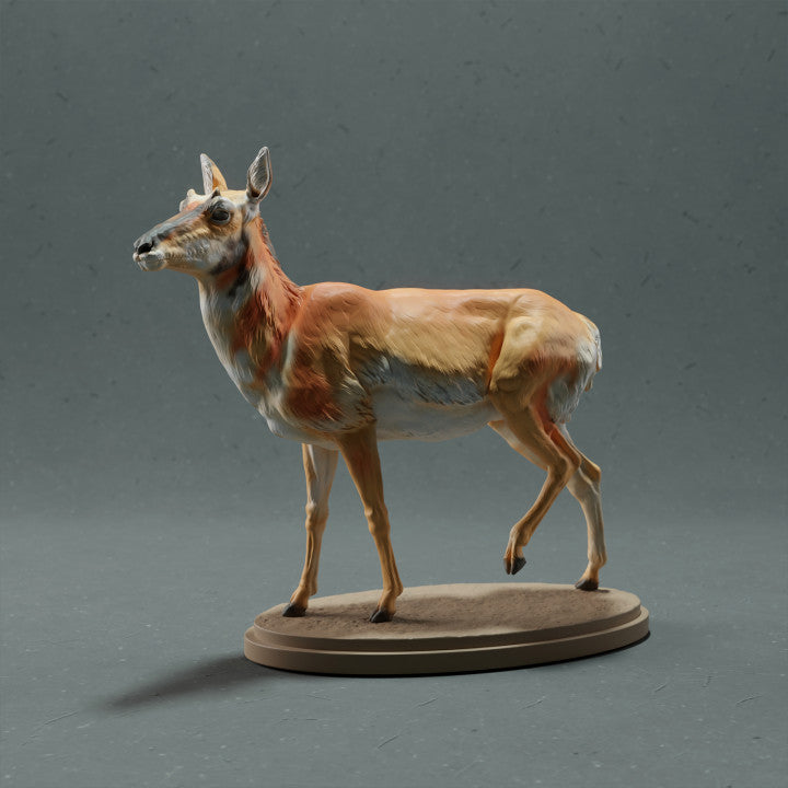Productfoto dierenfiguur Animal Den Miniatures 0: Wilde dierenfiguur: gaffelbok - vrouwtje (22_10_08)