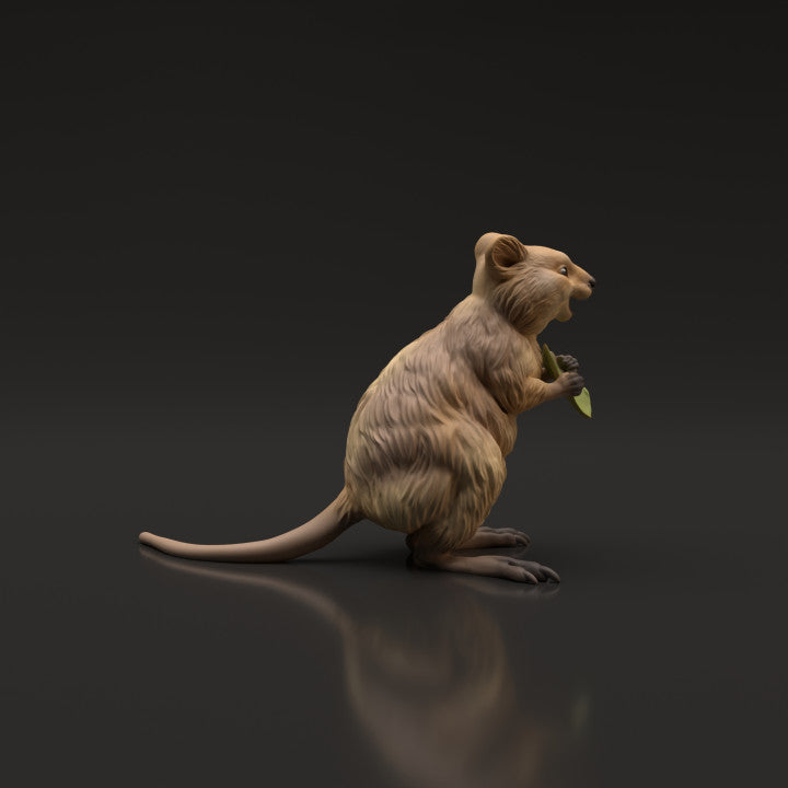 Productfoto dierenfiguur Animal Den Miniatures 2: wilde dierenfiguur: quokka (22_06_07)