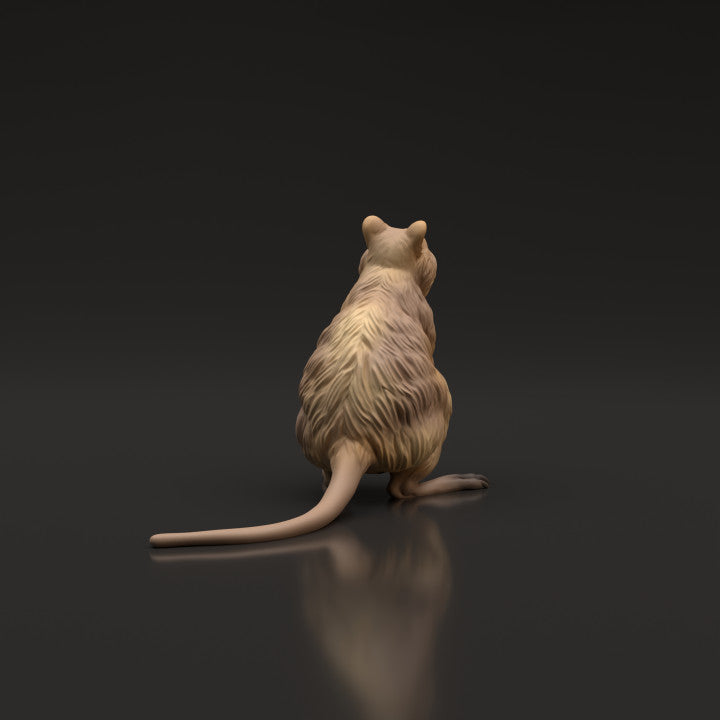 Productfoto dierenfiguur Animal Den Miniatures 3: wilde dierenfiguur: quokka (22_06_07)