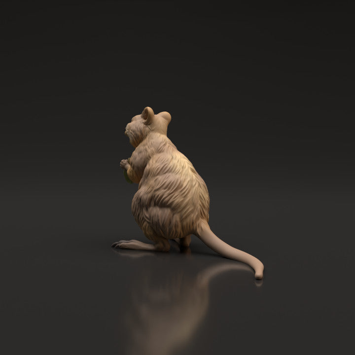 Productfoto dierenfiguur Animal Den Miniatures 4: wilddierenfiguur: quokka (22_06_07)