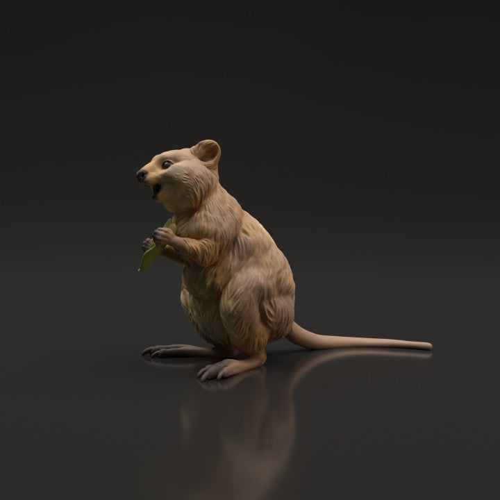 Productfoto dierenfiguur Animal Den Miniatures 5: Wilddierenfiguur: Quokka (22_06_07)