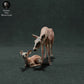 Productfoto dierenfiguur Animal Den Miniatures 0: wilddierenfiguur: vrouwelijke edelhert met kalf (22_11_10)