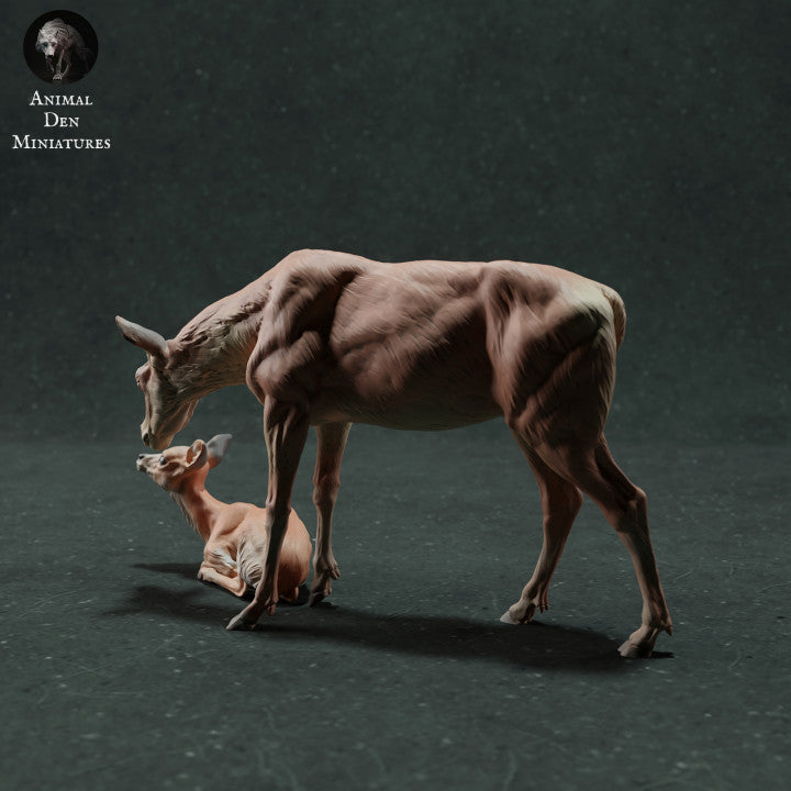 Productfoto dierenfiguur Animal Den Miniatures 2: Wilddierfiguur: edelhertkoe met kalf (22_11_10)