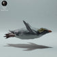 Productfoto dierenfiguur Animal Den Miniatures 2: zeedierfiguur: rotspinguïn - zwemmend (22_12_10)