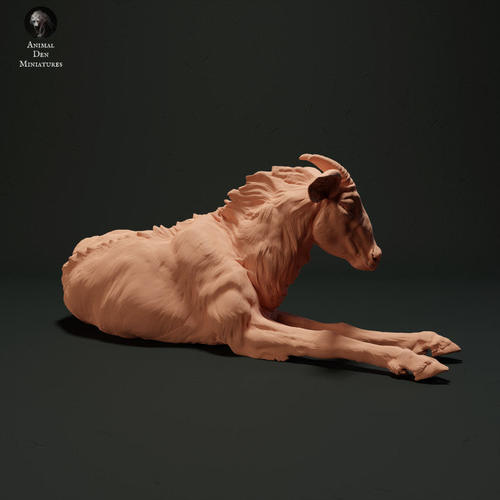Productfoto dierenfiguur Animal Den Miniatures 1: Wilde dierenfiguur: Sumatra-serow - liggend (23_05_05)