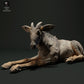 Productfoto dierenfiguur Animal Den Miniatures 2: Wilddierenfiguur: Sumatra-serau - liggend (23_05_05)