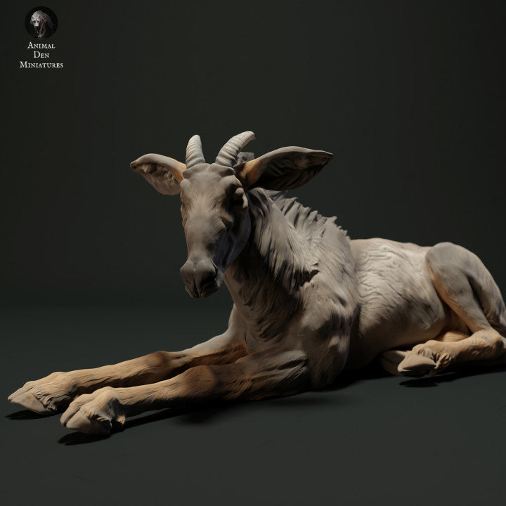 Productfoto dierenfiguur Animal Den Miniatures 2: Wilddierenfiguur: Sumatra-serau - liggend (23_05_05)