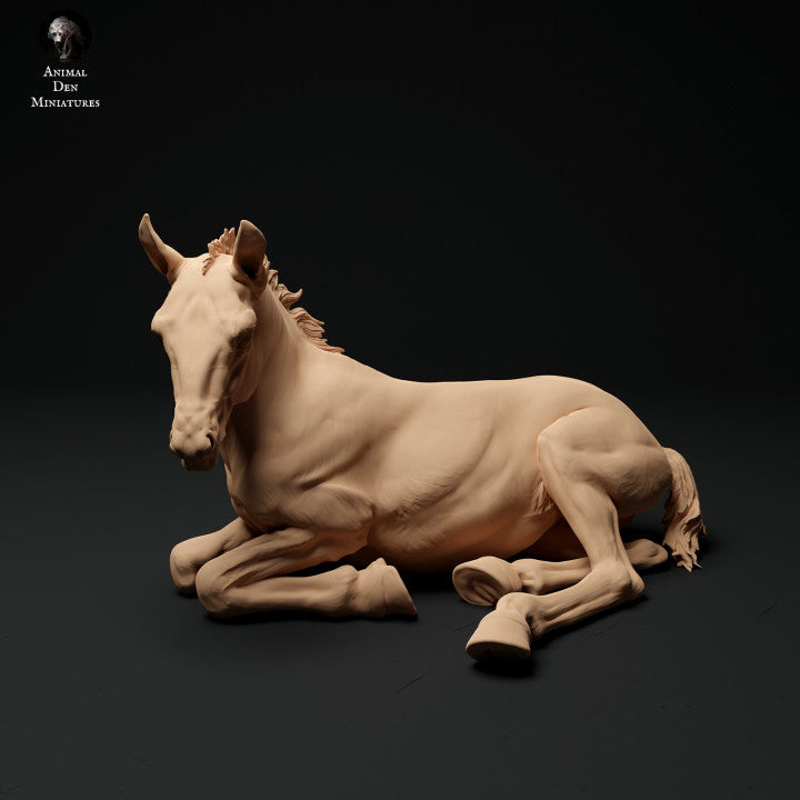 Productfoto Dierfiguur Diorama, Modelbouw: 0: Boerderij Dierfiguur: 2 Veulens - rennend en liggend paard