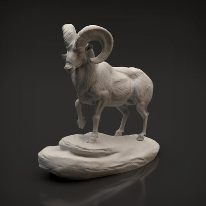 Productfoto Dier Figuur Diorama, Modelbouw: 0: Wilde Dier Figuur: Dikkopram Widder (Ref 01_01_89)