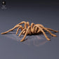 Productfoto dierenfiguur Animal Den Miniatures 7: spinachtige figuur: Goliathvogelspin (26_10_01)