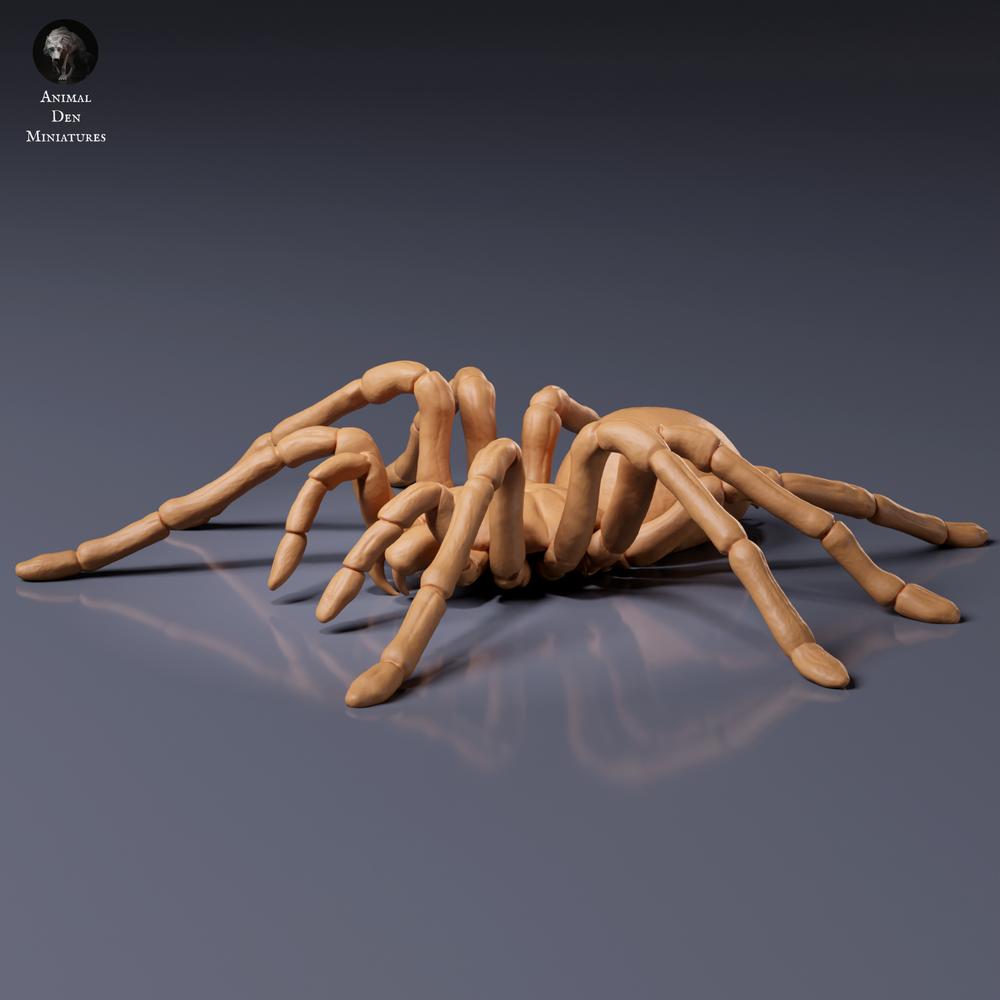 Productfoto dierenfiguur Animal Den Miniatures 7: spinachtige figuur: Goliathvogelspin (26_10_01)