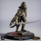 Productfoto Tabletop 28mm Lord of the Print (LotP) 0: Tabletop Miniatuur: Donkerelf / Dark Elf Assassine en Duelist, Schaduwblad met twee gebogen bladen (26_03_G15)