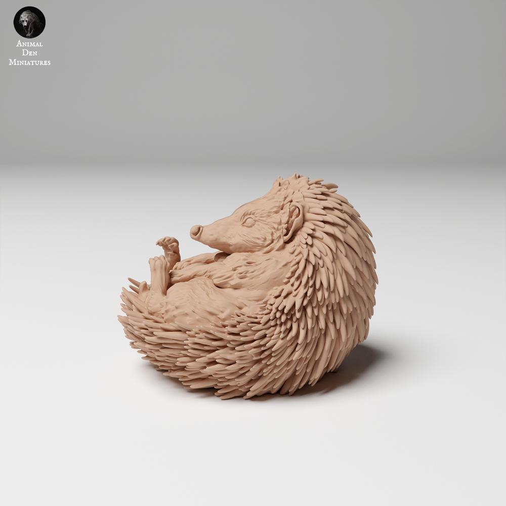 Productfoto 0: Wild dierfiguur: Europese egel - opgerold (24_11_05)