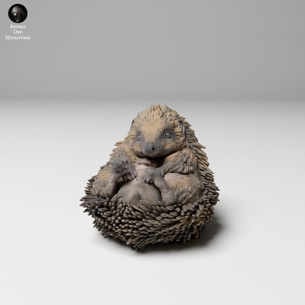 Productfoto 1: Wild dierfiguur: Europese egel - opgerold (24_11_05)