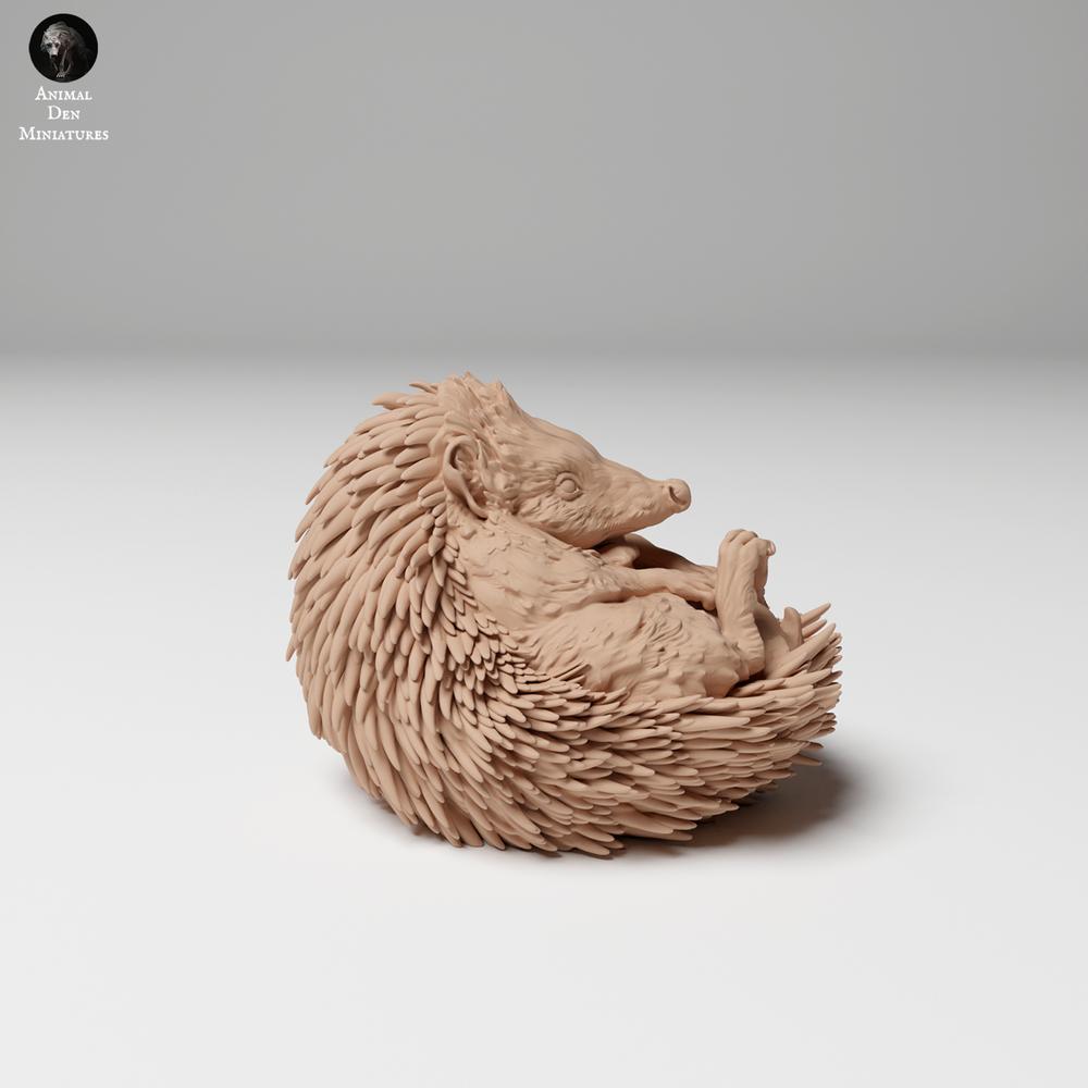 Productfoto 2: Wild dierfiguur: Europese egel - opgerold (24_11_05)