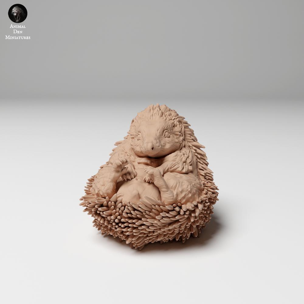 Productfoto 3: Wilddierenfiguur: Europese egel - opgerold (24_11_05)