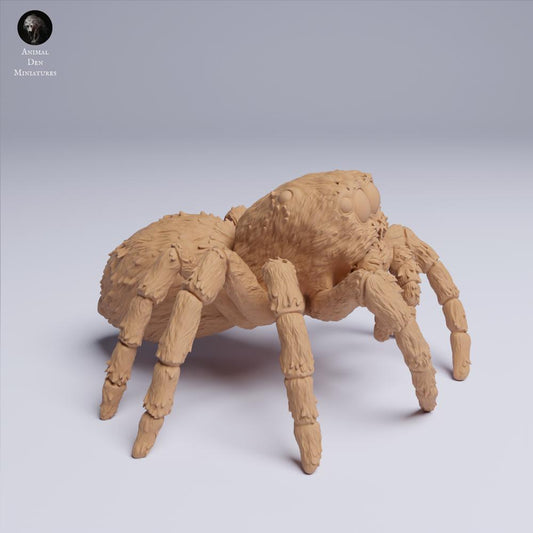 Productfoto dierenfiguur Animal Den Miniatures 0: Spinnen dierenfiguur: goudogige springspin (25_05_02)