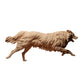 Productfoto Dierfiguur Diorama, Modelbouw: 0: Huisdierfiguur: rennende hond - Border Collie