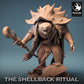 Shellspike Turtle - Krachtig en magisch wezen - Magiër/ Tovenaar (E)