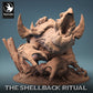 Draak Schildpad - Machtige en enorme creatuur (B)