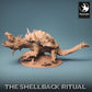 Draak Schildpad - Machtige en enorme creatuur (B)