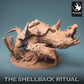 Draak Schildpad - Machtige en enorme creatuur (B)
