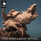 Draak Schildpad - Machtige en enorme creatuur (B)