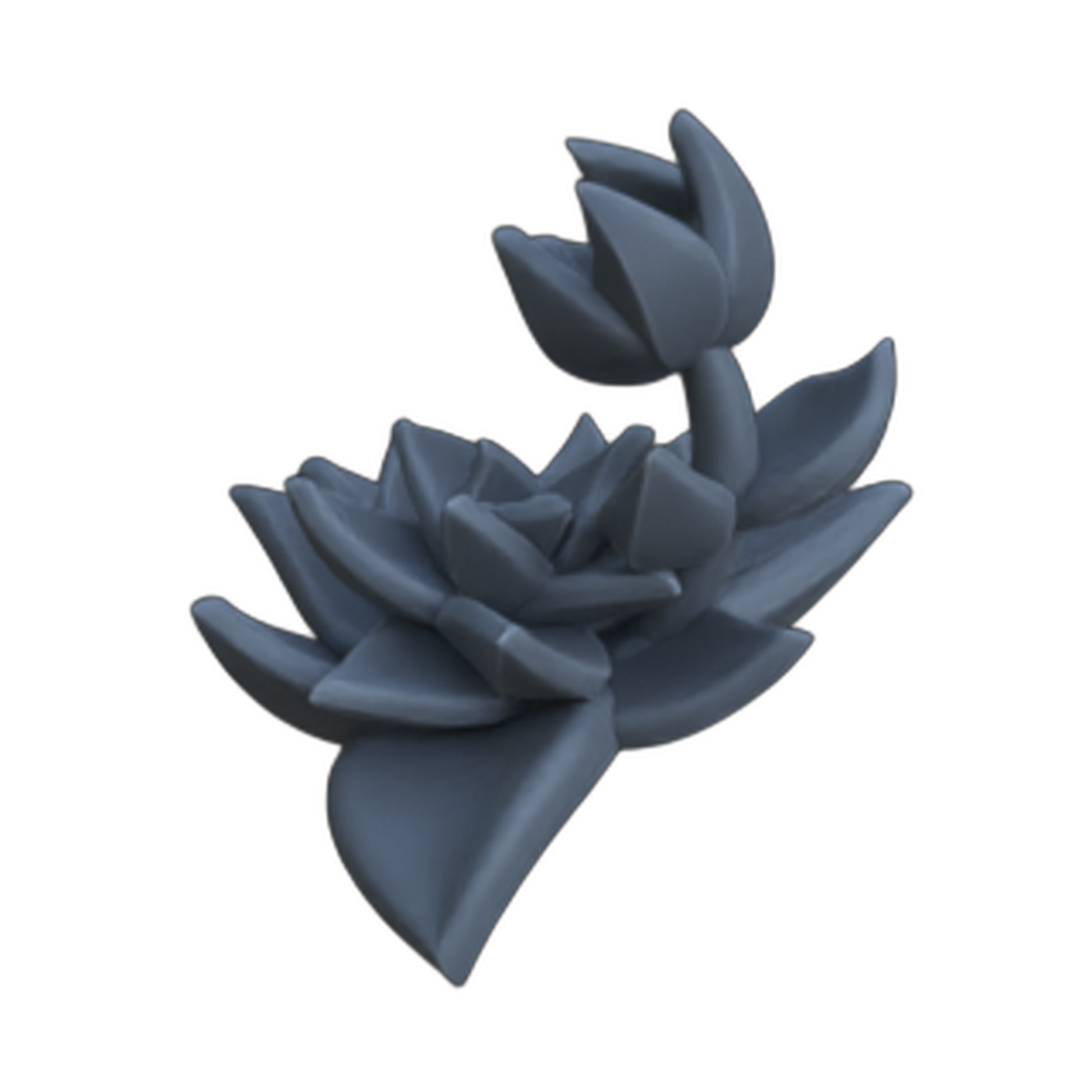 Productfoto diorama en modelbouw decoratie, accessoires: 0: Planten en gewassen: Succulenten