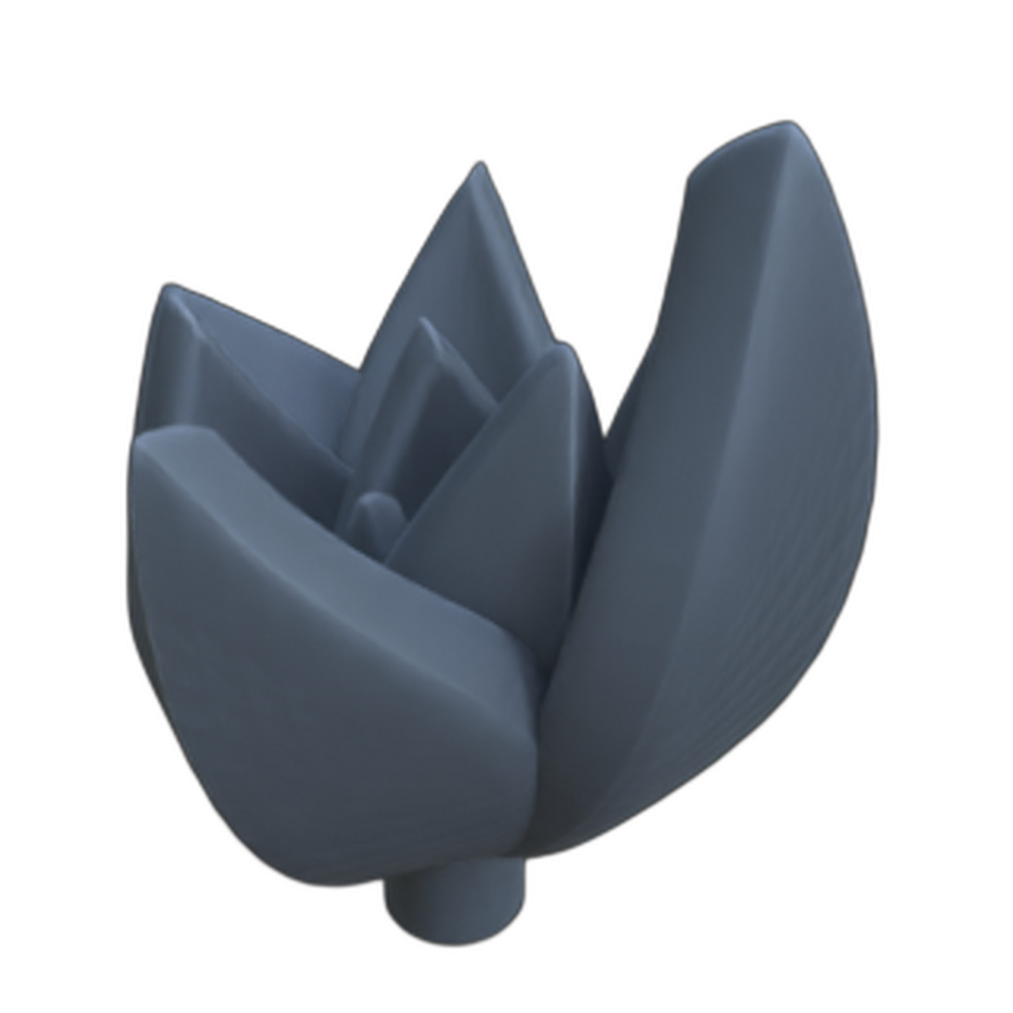 Productfoto diorama en modelbouw decoratie, accessoires: 0: Planten en gewassen: Succulenten