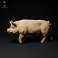 Productfoto dierenfiguur Animal Den Miniatures 0: Boerderijdierenfiguur: Berkshire-beer - lopend (24_01_63)