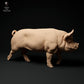 Productfoto dierenfiguur Animal Den Miniatures 1: Boerderijdierenfiguur: Berkshire-beer - lopend (24_01_63)