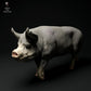 Productfoto dierenfiguur Animal Den Miniatures 2: Boerderijdierenfiguur: Berkshire-beer - lopend (24_01_63)